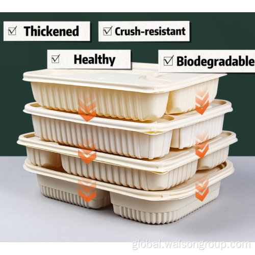 Corn Starch Bento Box Biodegradable Cornstarch Packaging Boxes Factory